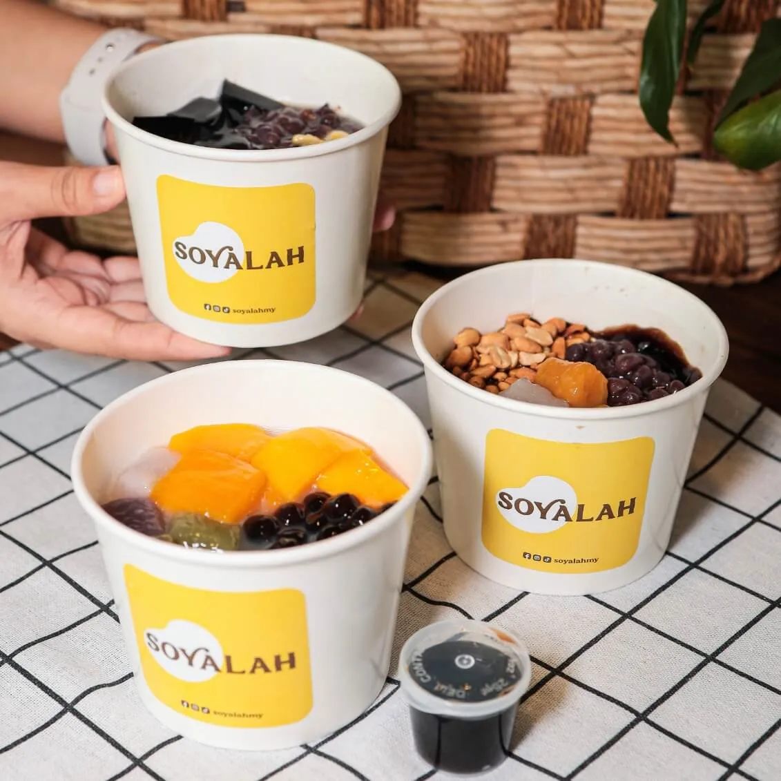Soyalah: Soy dessert packaging and posters for Soyalah